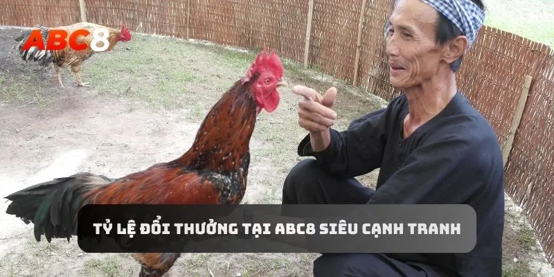 ABC8 có tỷ lệ đổi thưởng cao nên thu hút vô số kê thủ