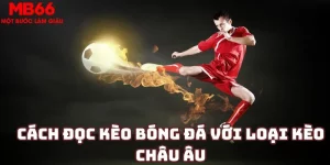 Hướng dẫn cách đọc kèo bóng đá dành cho tân thủ mới 2024
